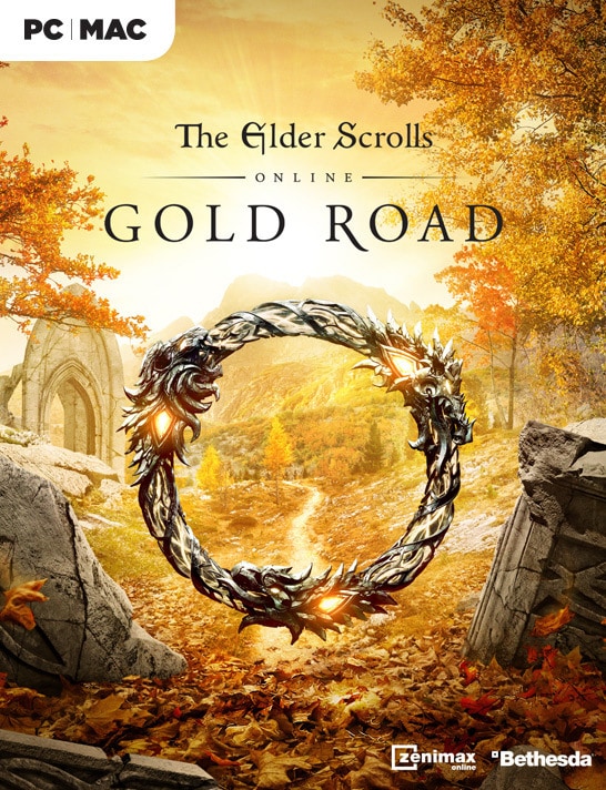 新品未開封　エルダー　スクロールズ　オンライン Amazon.co.jp: エルダー・スクロールズ・オンライン 日本語版